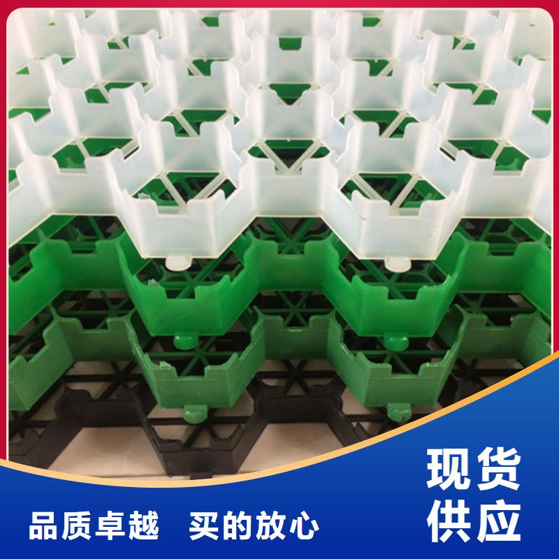 植草格植草格廠家十分靠譜當地經銷商
