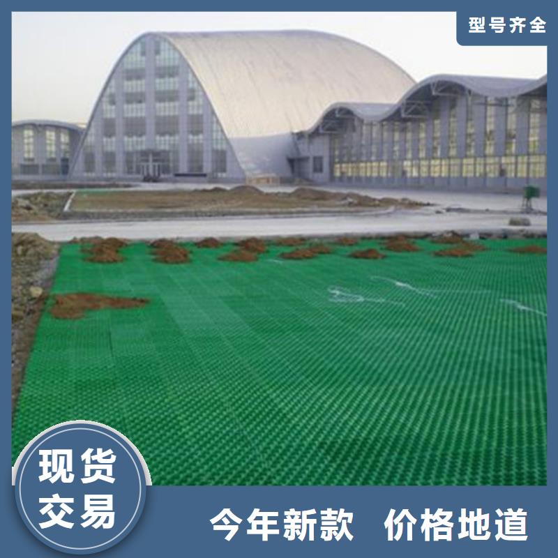 植草格排水板口碑好實力強適用范圍廣