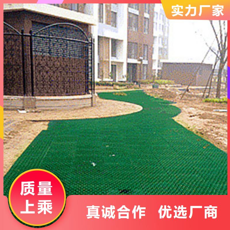 植草格價(jià)格多少本地生產(chǎn)廠家