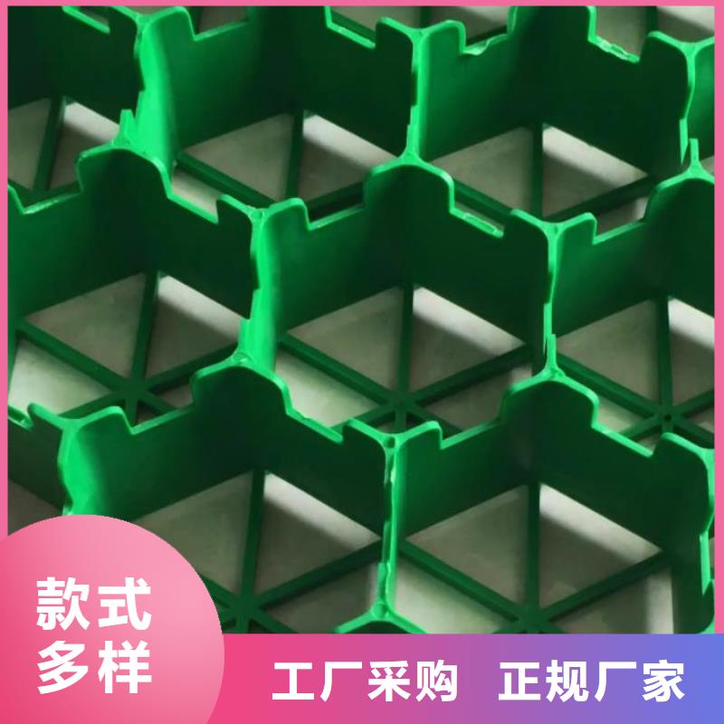 植草格排水板用心細(xì)節(jié)本地服務(wù)商