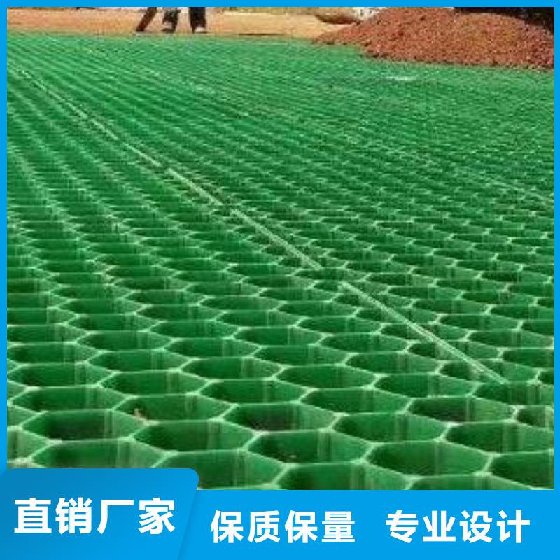 植草格植草格常年供應(yīng)有實力有經(jīng)驗