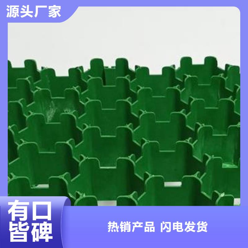植草格本地貨源現(xiàn)貨交易