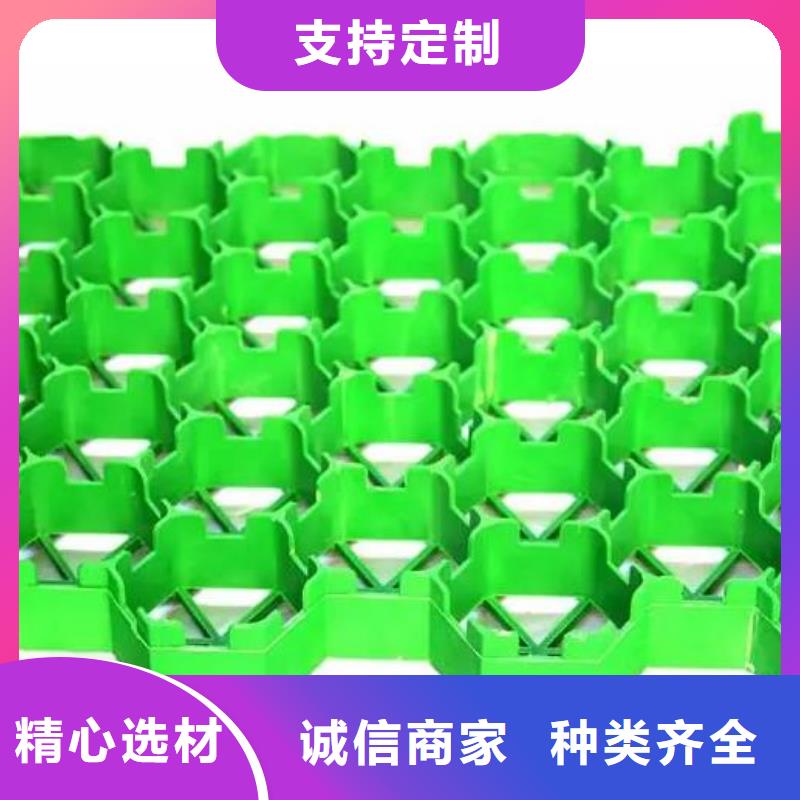 植草格多錢價格實(shí)惠工廠直供