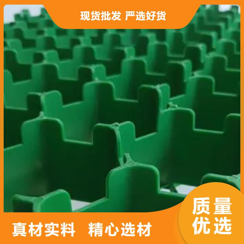 植草格哪里能買到質檢合格發貨