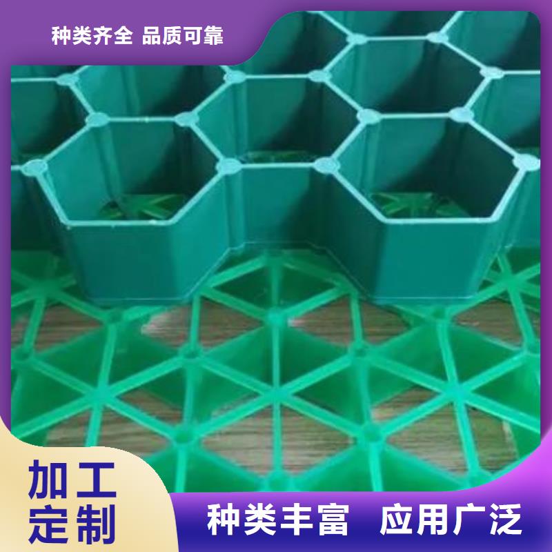消防通道植草格廠家-批發價精致工藝