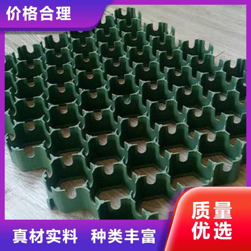 塑料植草格-停車場植草格廠家店同城品牌