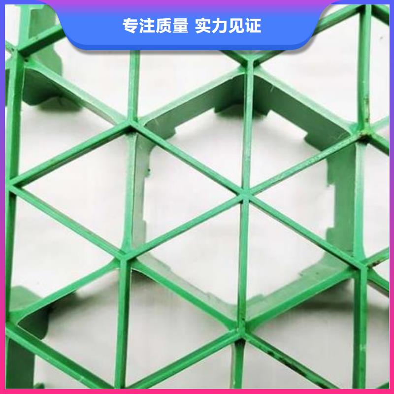 植草格排水板廠家實力大品質之選