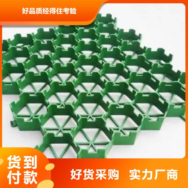 停車場植草格-停車場植草格廠家店細(xì)節(jié)嚴(yán)格凸顯品質(zhì)