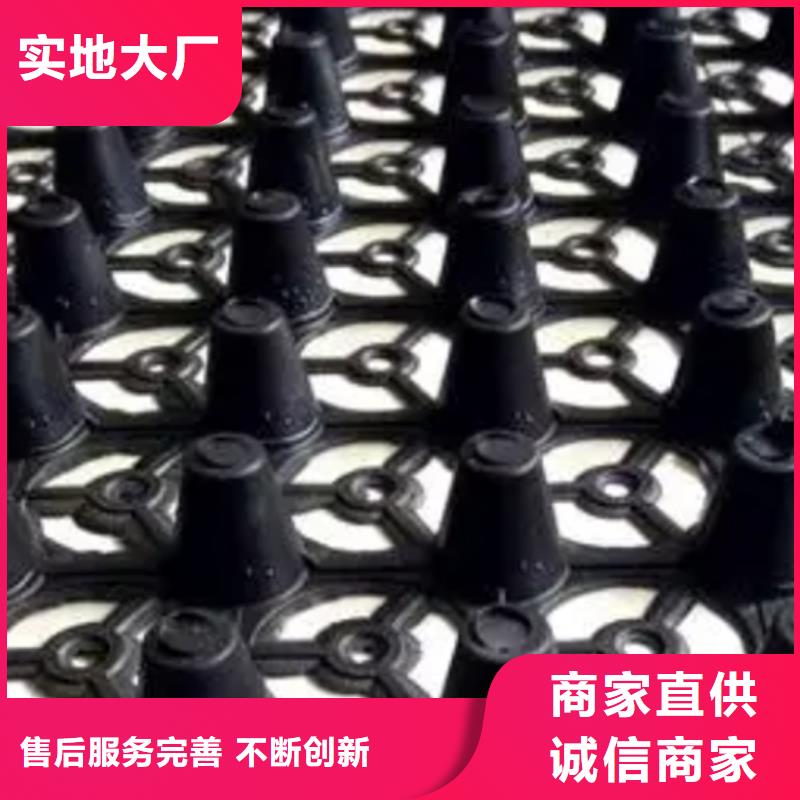 排水板生產(chǎn)基地優(yōu)質(zhì)原料