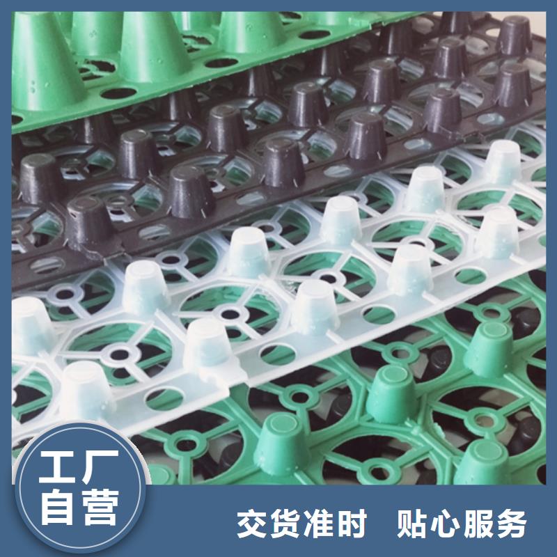排水板施工團隊免費安裝