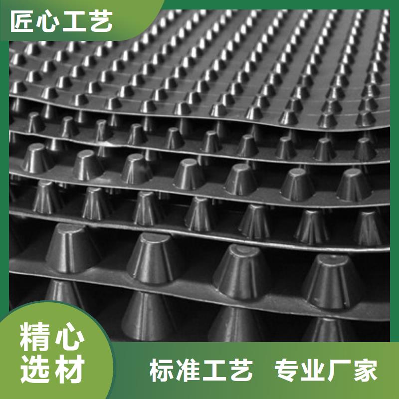 塑料排水板放心購買真實拍攝品質可靠