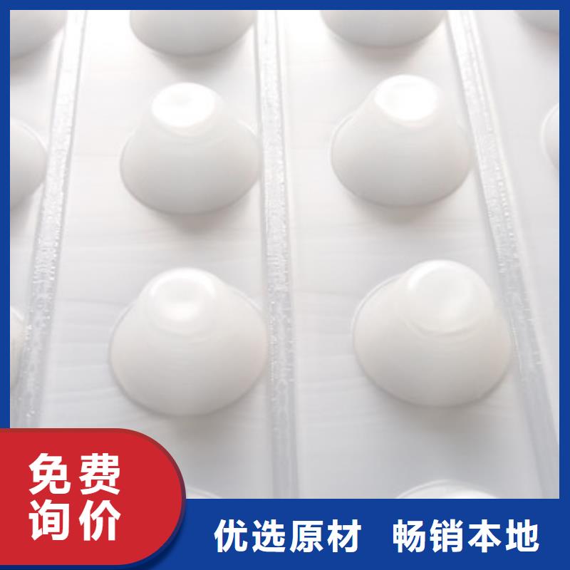 塑料排水板性價比高大量現貨供應