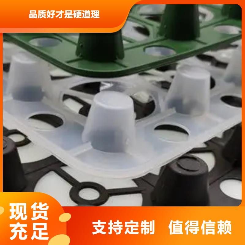 塑料排水板性價比高誠信經營質量保證