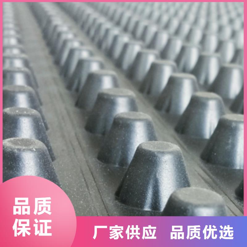 塑料排水板放心購(gòu)買采購(gòu)