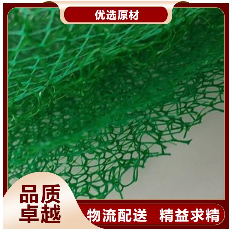 三維植被網-植草格一站式廠家詳細參數