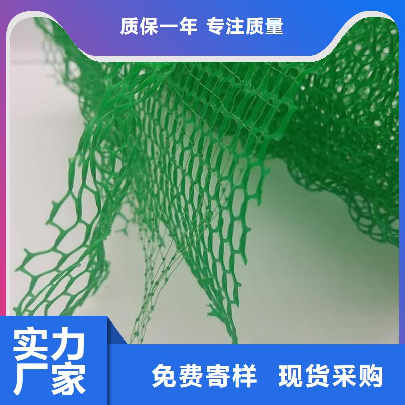 三維土工網墊工廠價用心制造