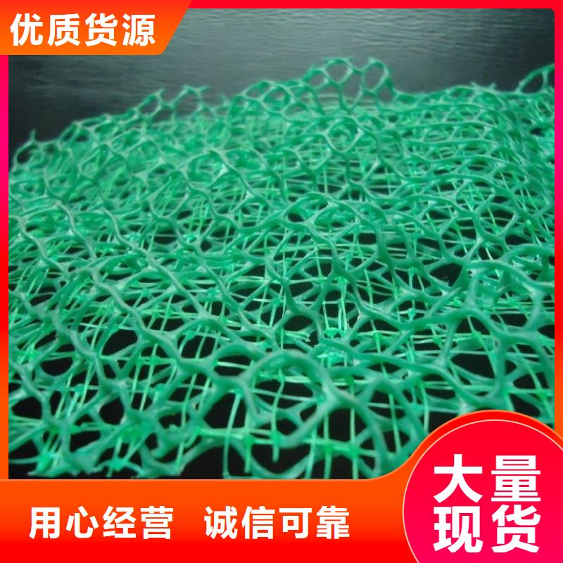 三維植被網價格品質保證實力見證