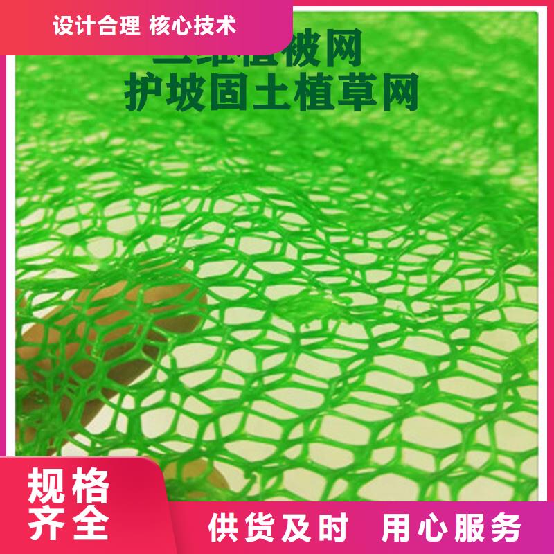 迪慶三維植被網(wǎng)-三維植被網(wǎng)廠家