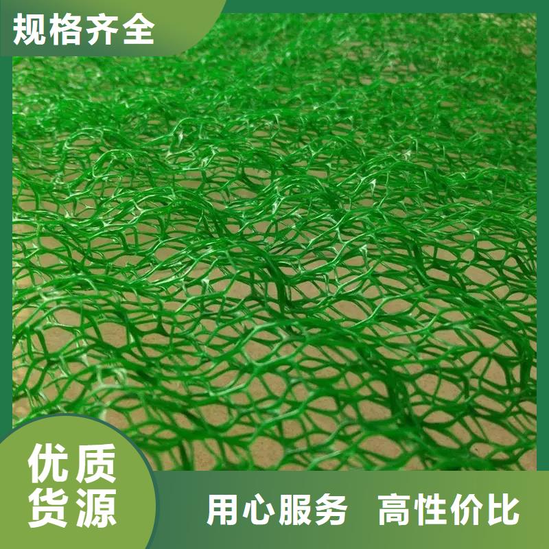 三維植被網車庫虹吸排水系統以質量求生存當地制造商