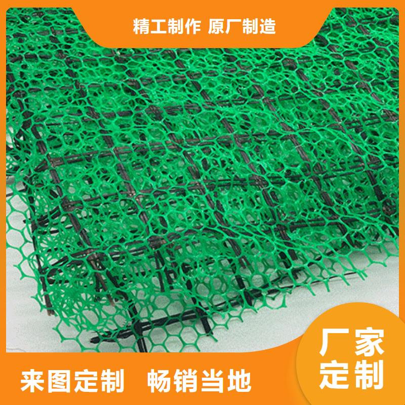 三維植被網(wǎng)植草格一站式廠家同城服務(wù)商