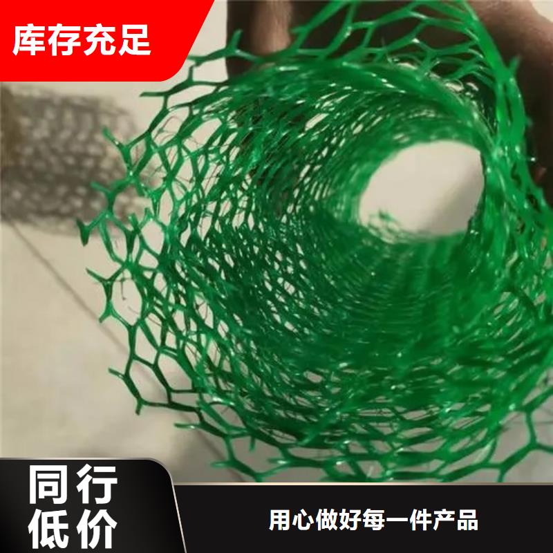 三維植被網【植草格】產地工廠精心