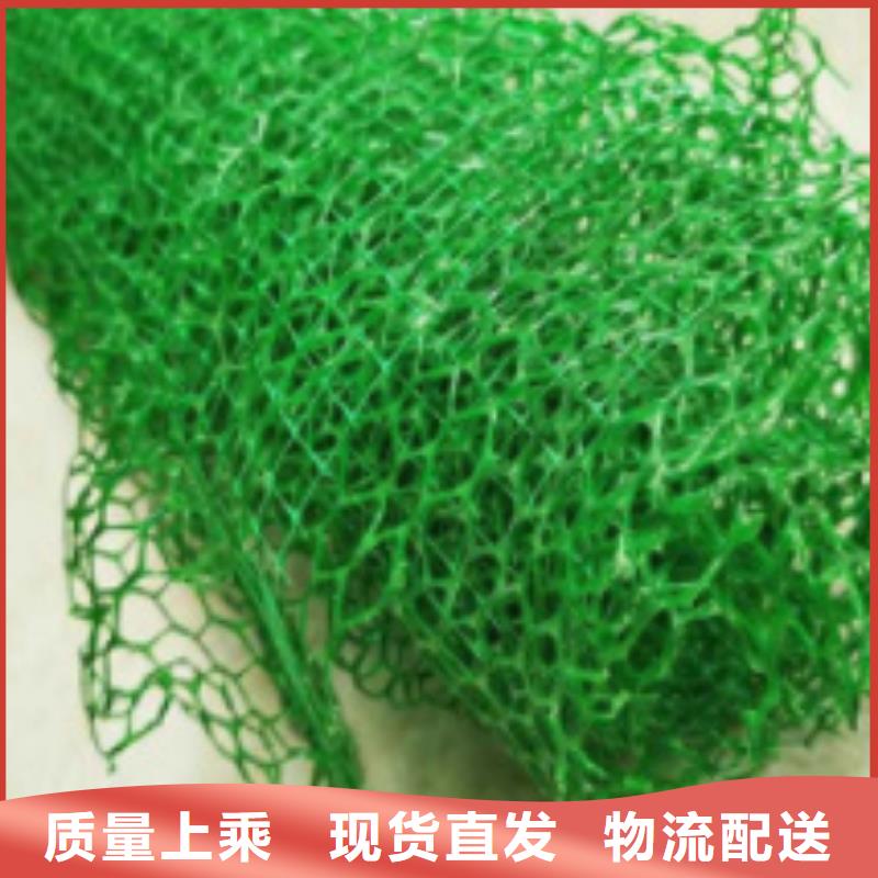 江蘇三維土工網(wǎng)墊工廠價(jià)