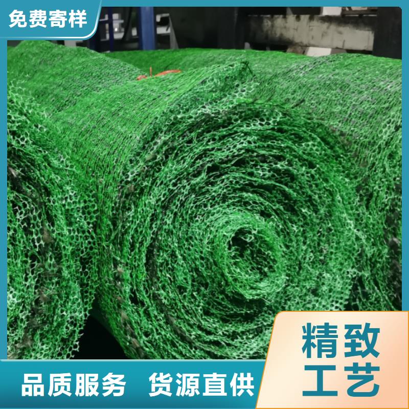 新疆三維土工網墊閃電發貨