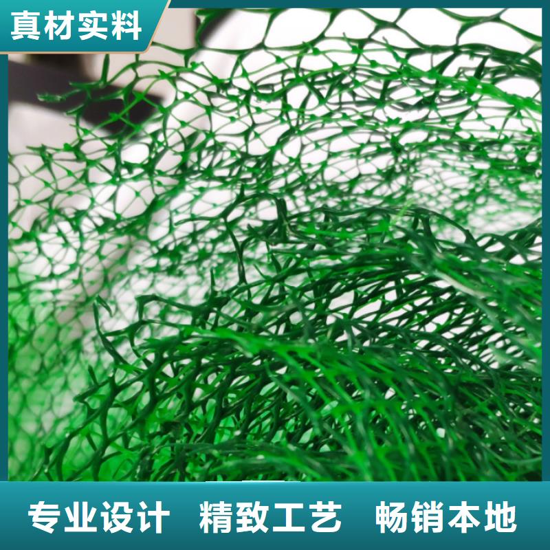 三维植被网-防护虹吸排水收集系统品质优选价格实惠