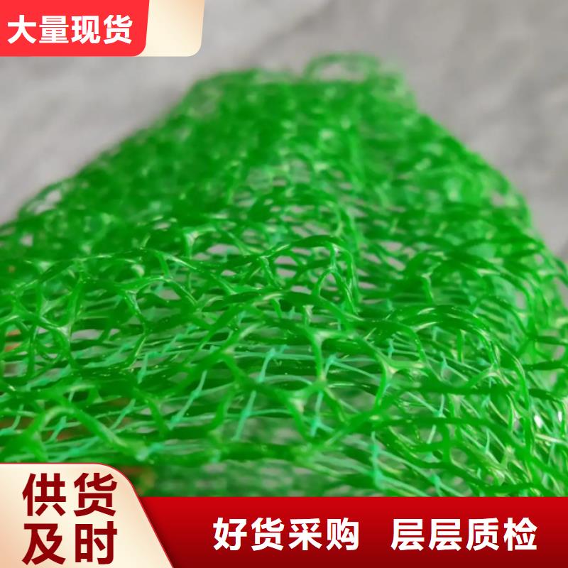 三維植被網(wǎng)廠家供應(yīng)邊坡復(fù)綠廠家直營(yíng)