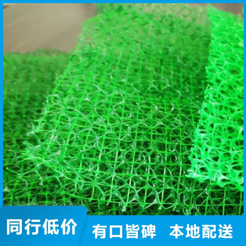 新疆三維土工網墊閃電發貨