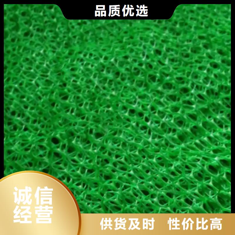 三維土工網(wǎng)墊哪里有當(dāng)?shù)胤?wù)商
