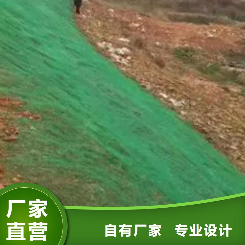 三維植被網本地廠家技術先進