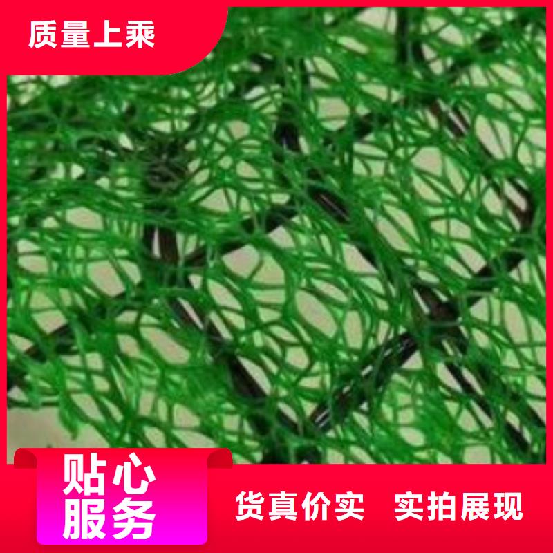 【三維植被網排水板優選原材】好貨有保障