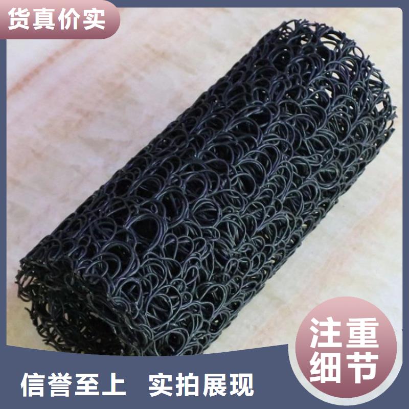 塑料盲溝土工格柵口碑好實力強源廠供貨