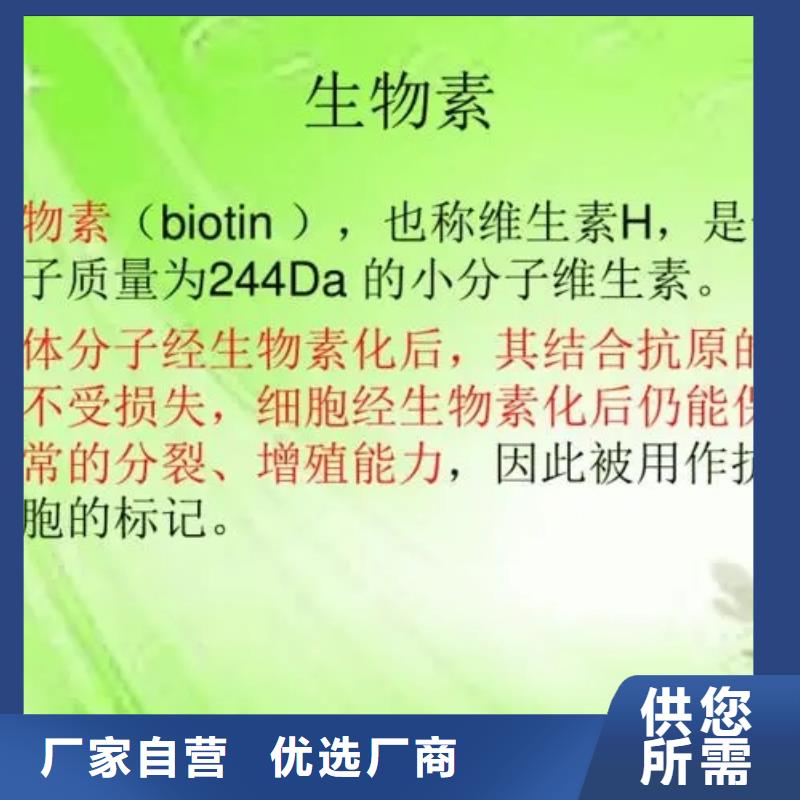 水溶性维生素参数量大更优惠