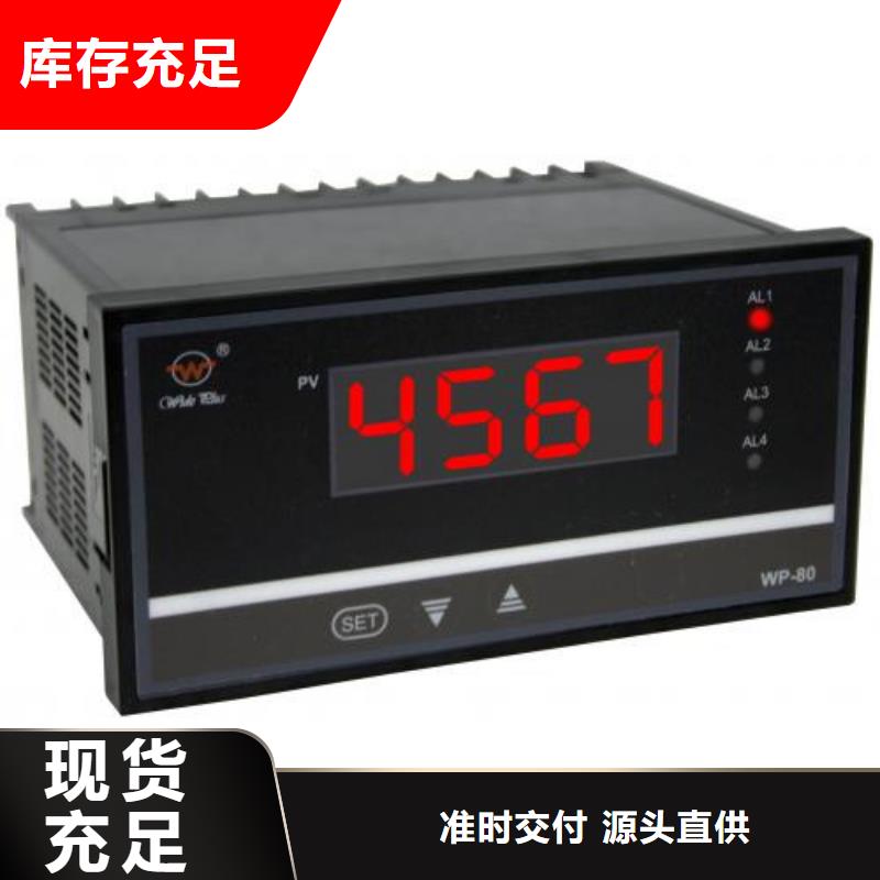 WP-DS401智能数字/光柱显示控制仪天天低价[本地]制造商