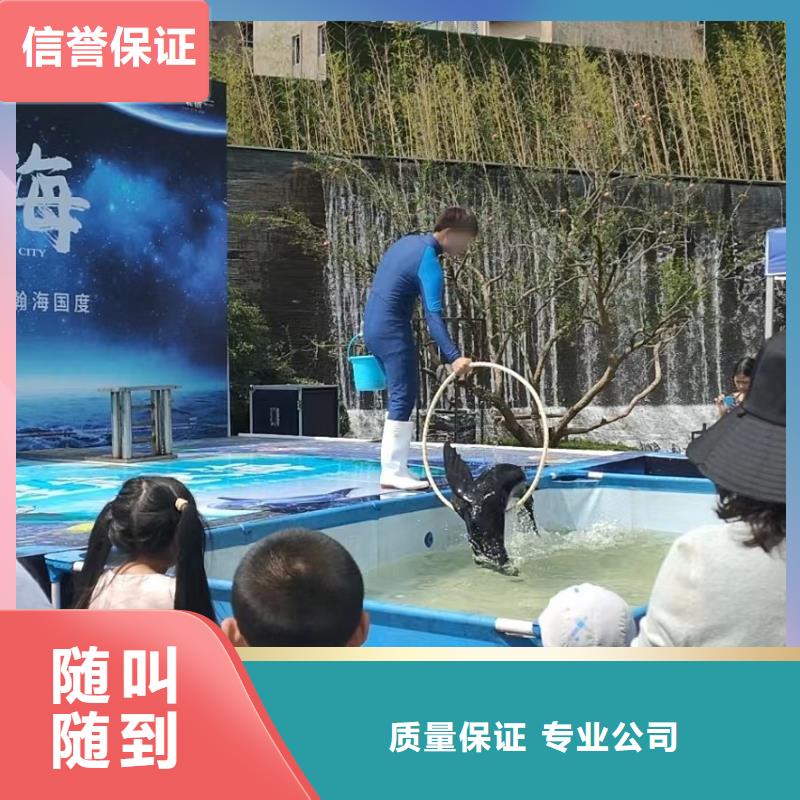 海洋生物鱼缸展出租活跃气氛品质好