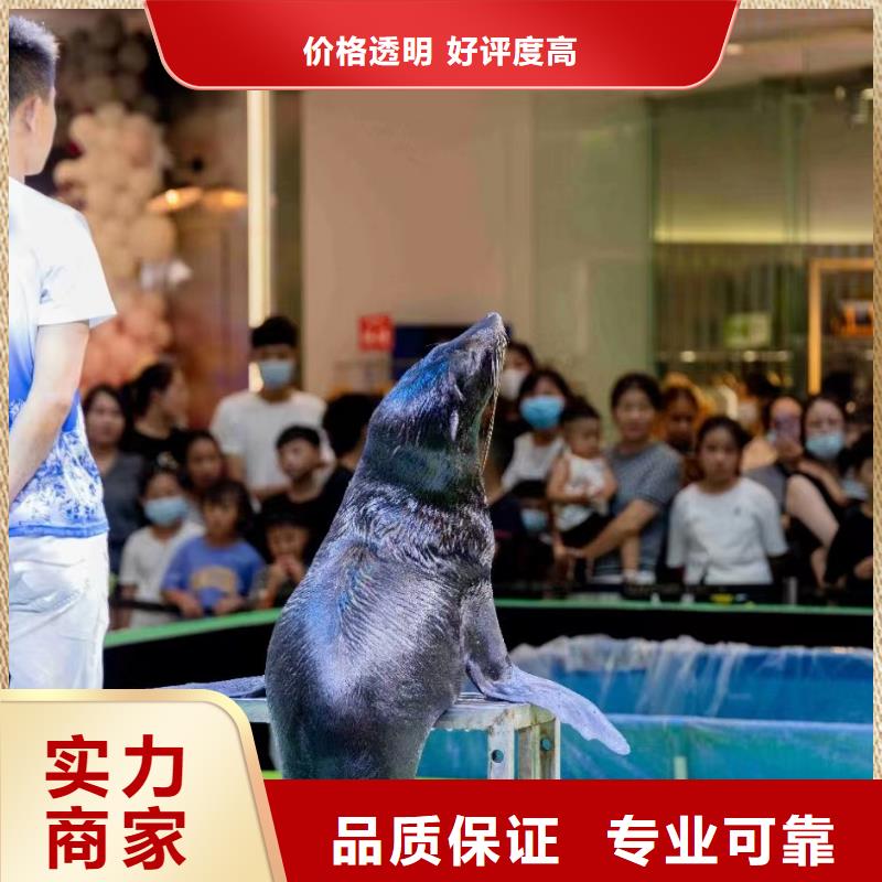 海洋生物展租赁周边附近供应商