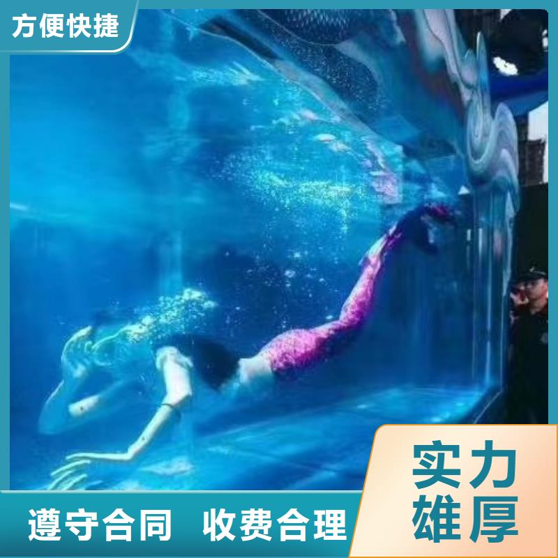 出租海獅表演聯系方式誠信放心