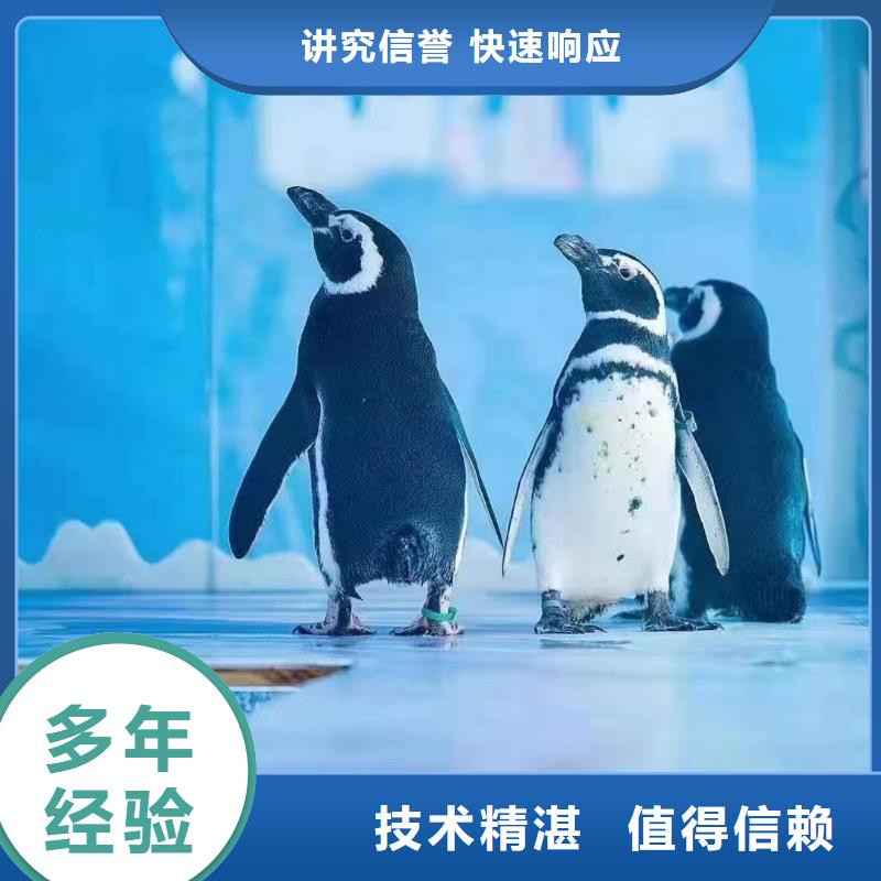 海洋生物展出租全国包邮实力商家