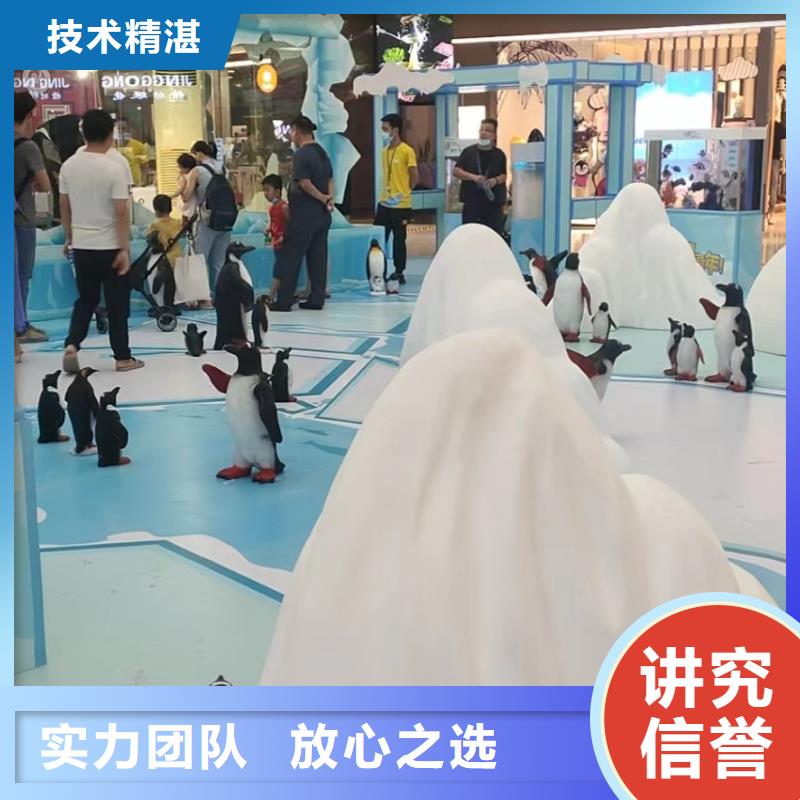 阿拉善海獅表演租賃