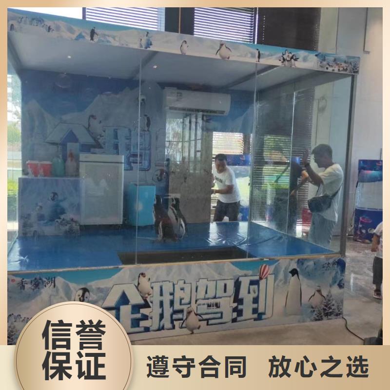 海洋展出租活动方案品质保证