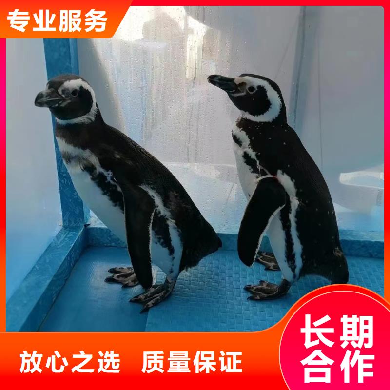 海洋生物展出租公司一手资源{本地}服务商