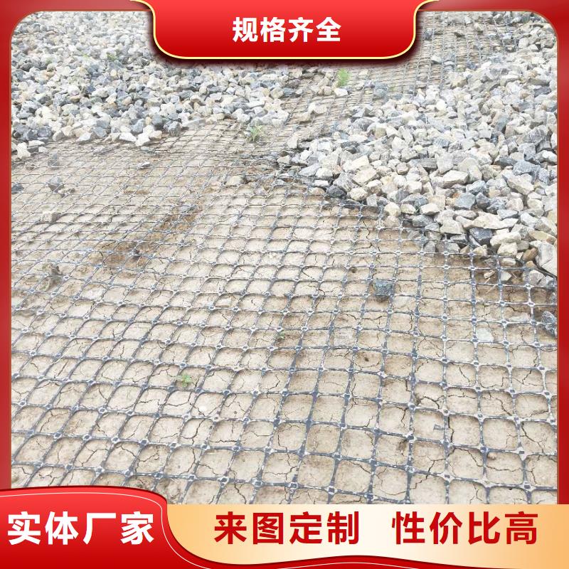 【土工格栅\抗裂贴】双向土工格栅口碑好实力强【本地】供应商