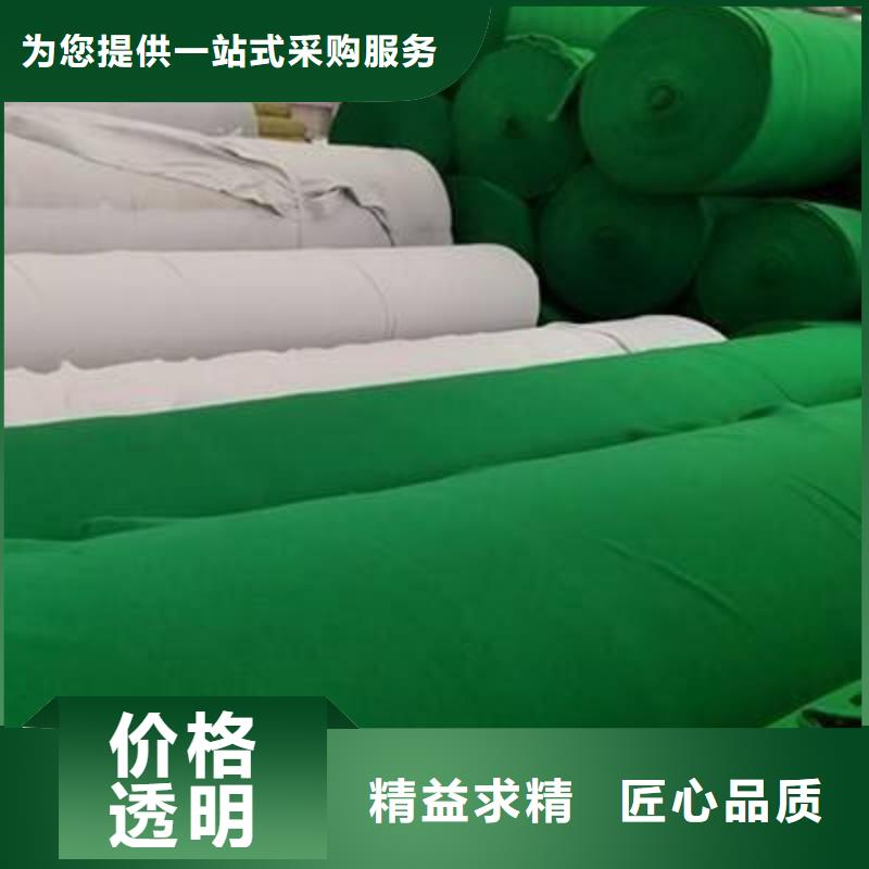 土工布,雙向塑料土工格柵來圖來樣定制同城生產商