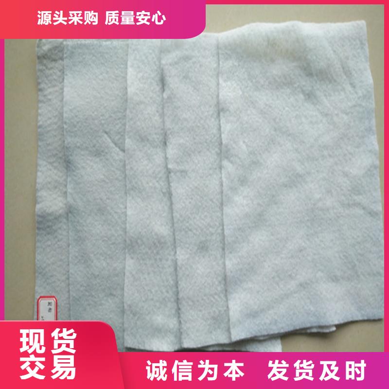 短絲土工布哪有賣的當地生產廠家