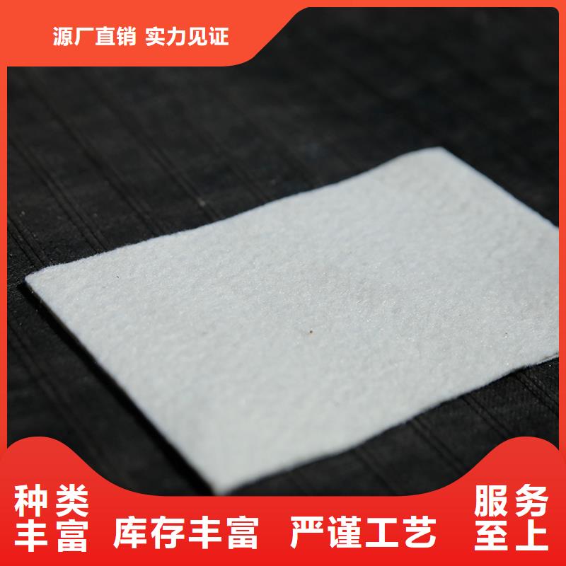 土工布玻璃纖維土工格柵訂購優良材質