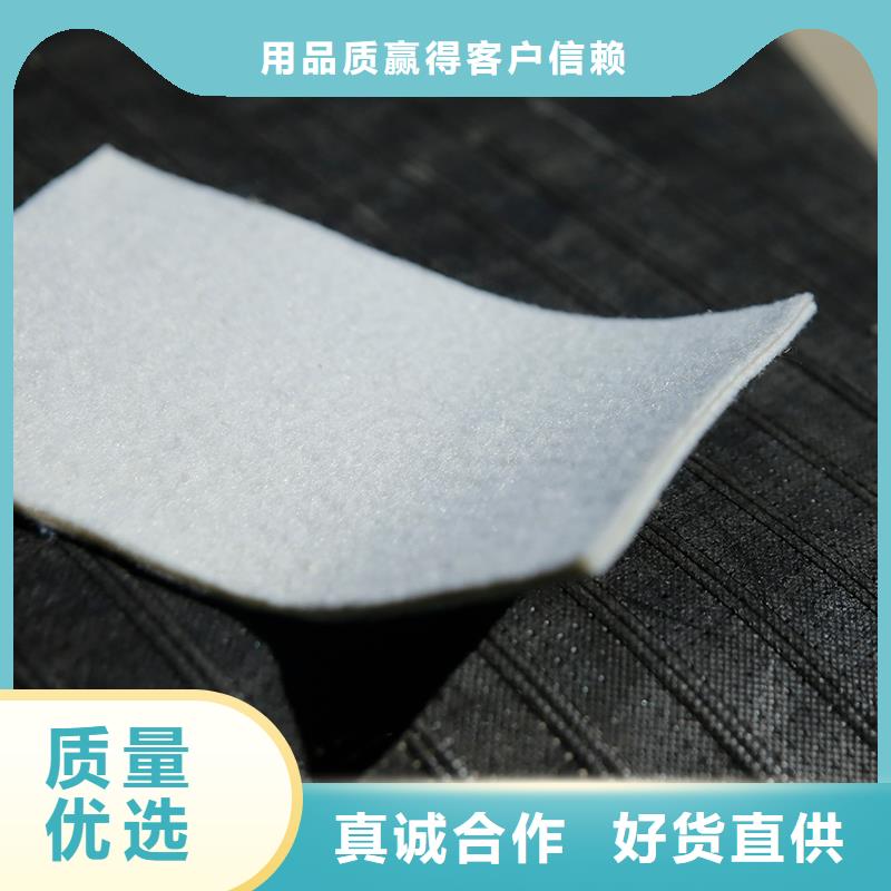 土工布雙向塑料土工格柵精工制作專注產品質量與服務