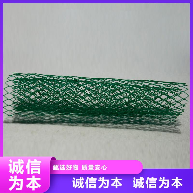 土工布玻璃纖維土工格柵精挑細選好貨本地制造商