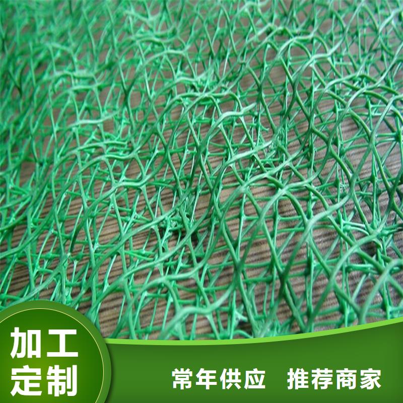 【土工布】土工格柵好品質售后無憂優質工藝